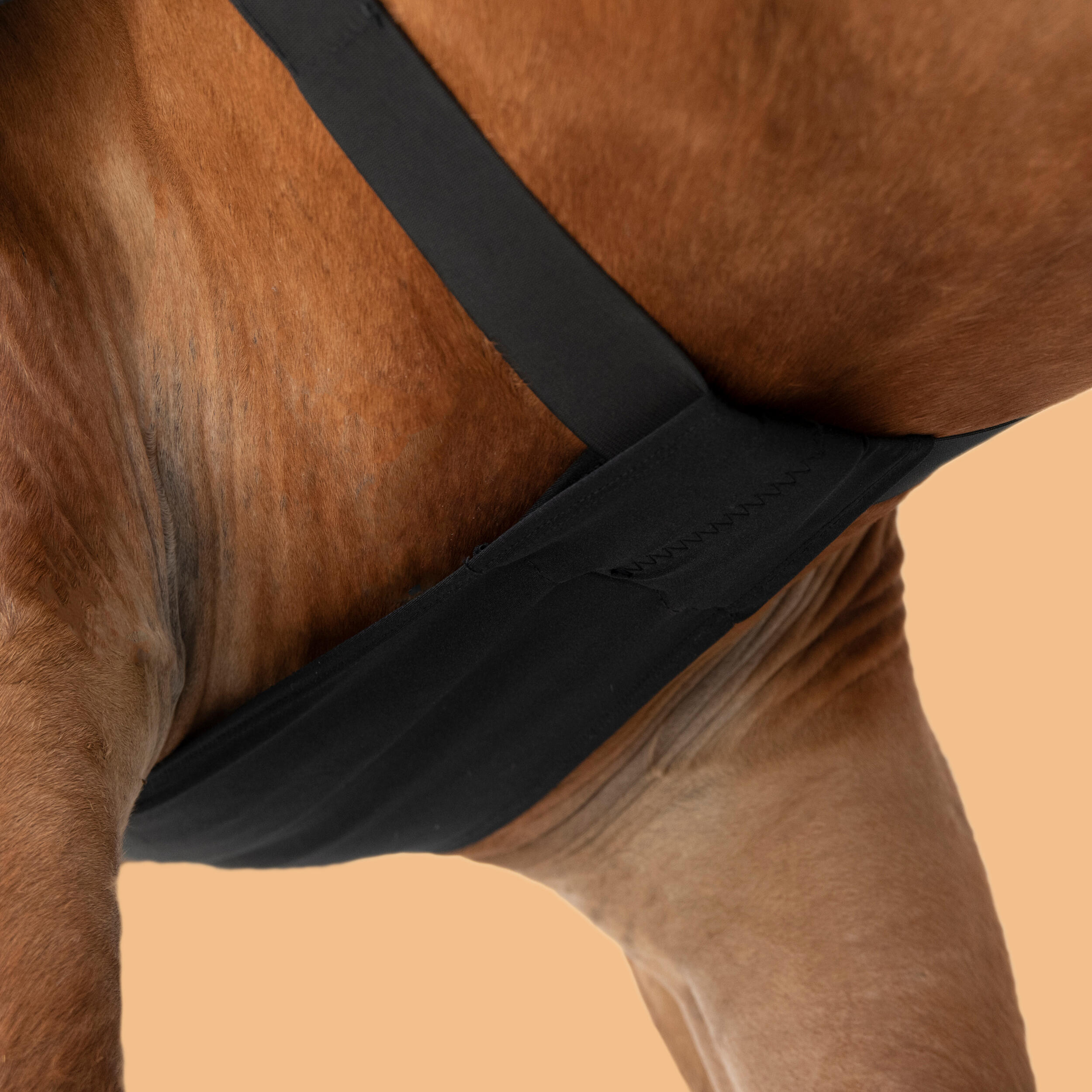 Horse Riding Shoulder Guard for Horse & Pony - Black 4/6