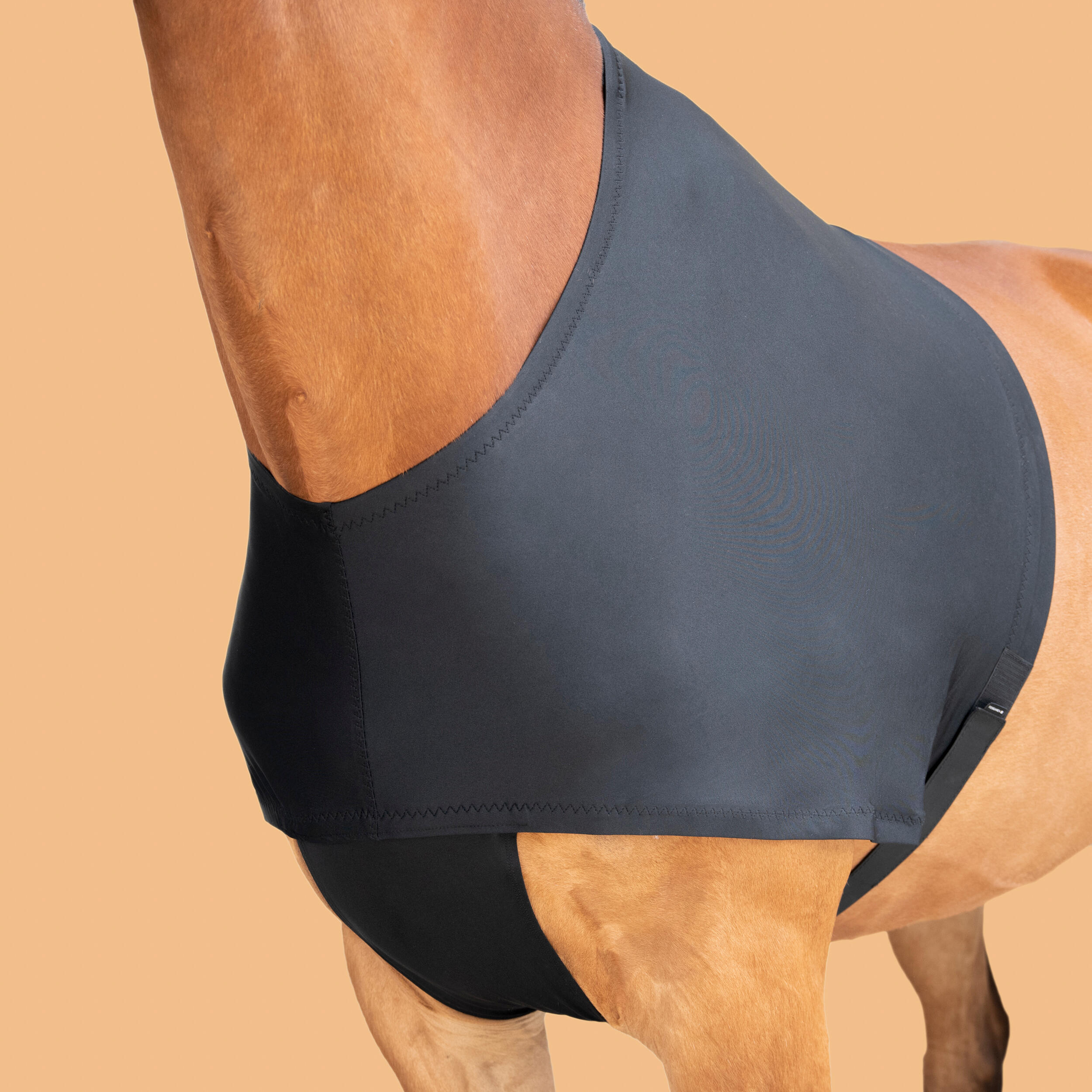 Horse and pony riding shoulder protector - black