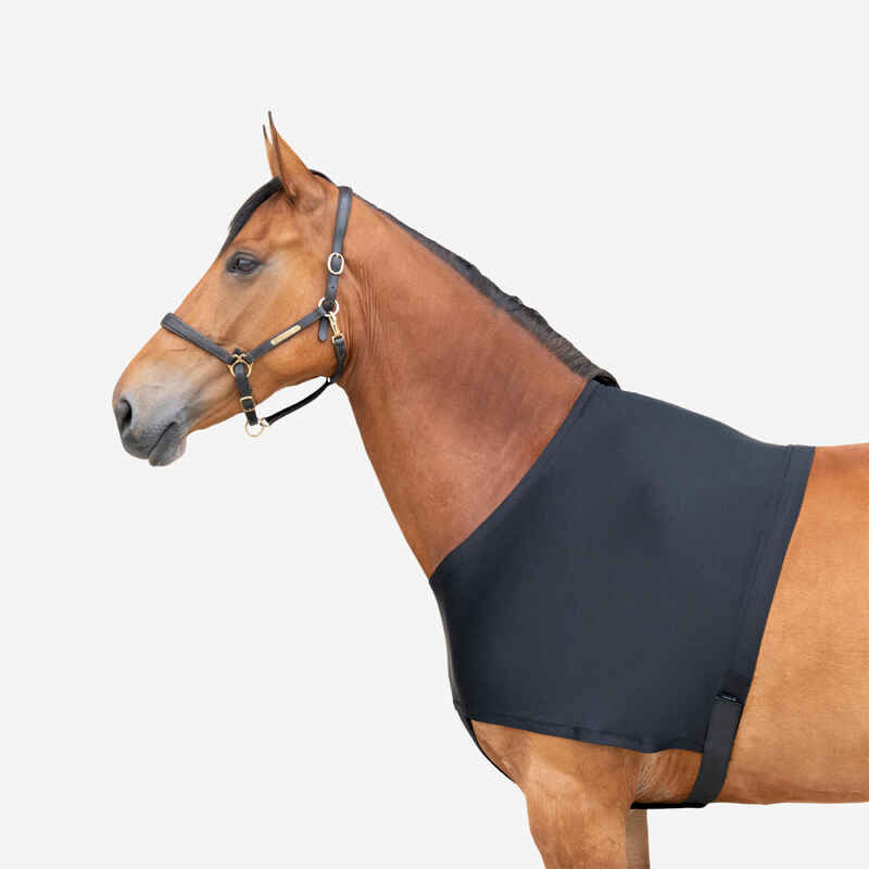 Horse Riding Bib For Horse Or Pony