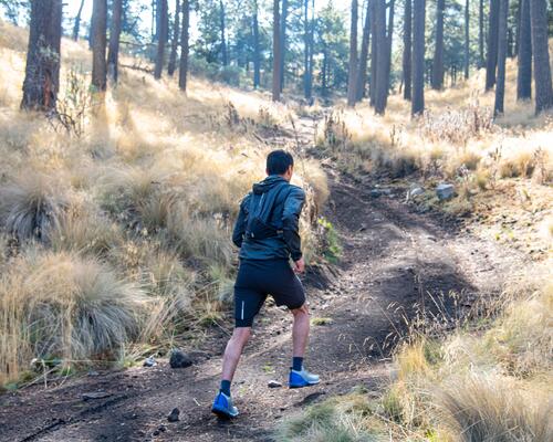 10000 pas entrainement marche