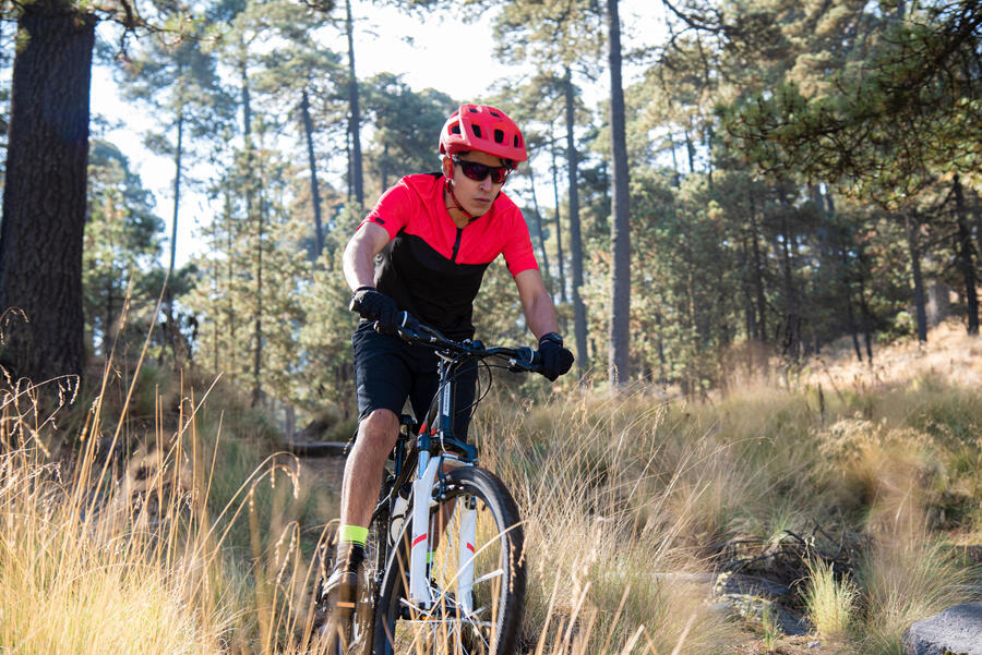 VTT ROCKRIDER XC 500 29" EAGLE LIGHT BLUE