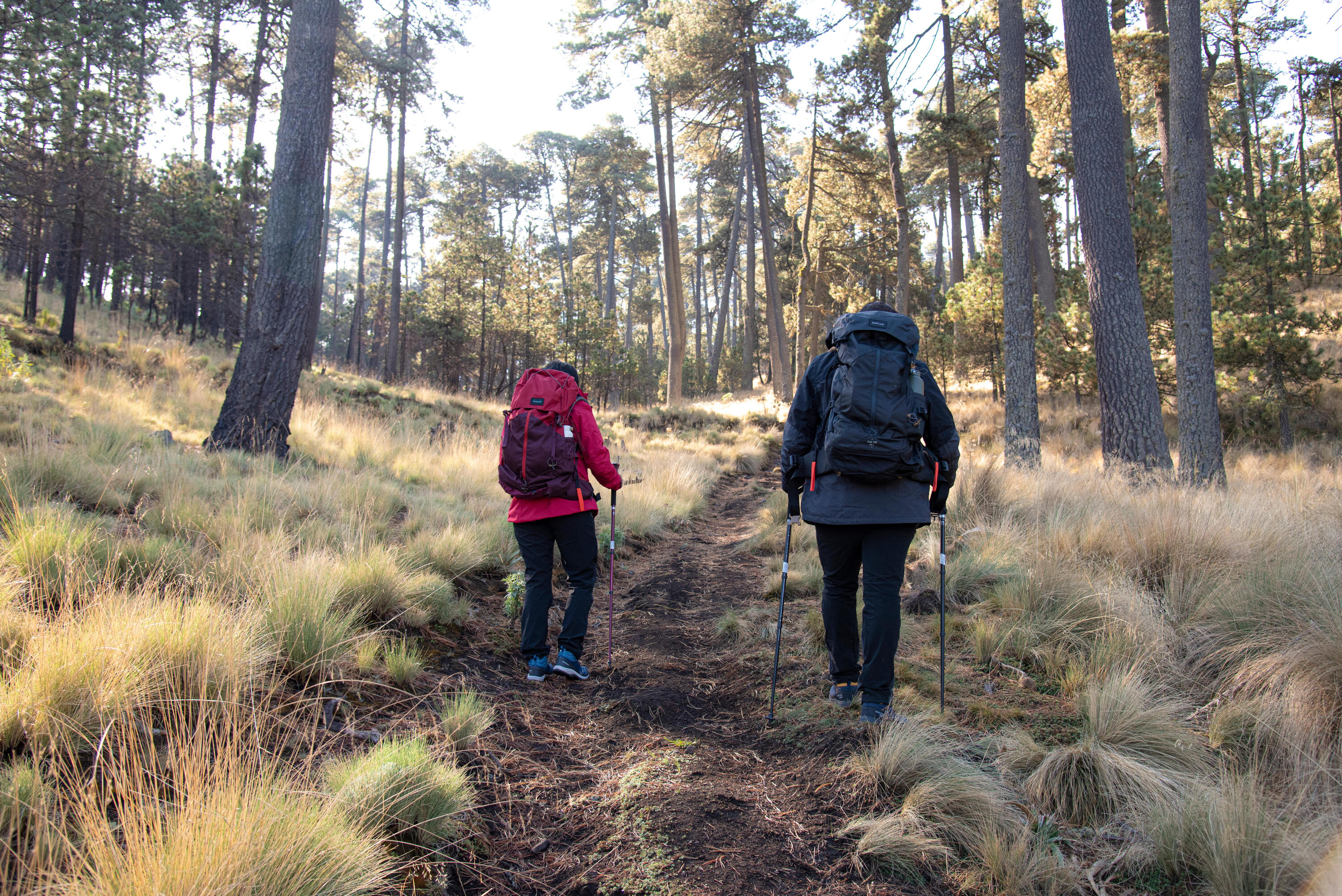 Mochila de montaña y trekking 50L Mujer Simond MT100 Easyfit. Funda impermeable 18/21