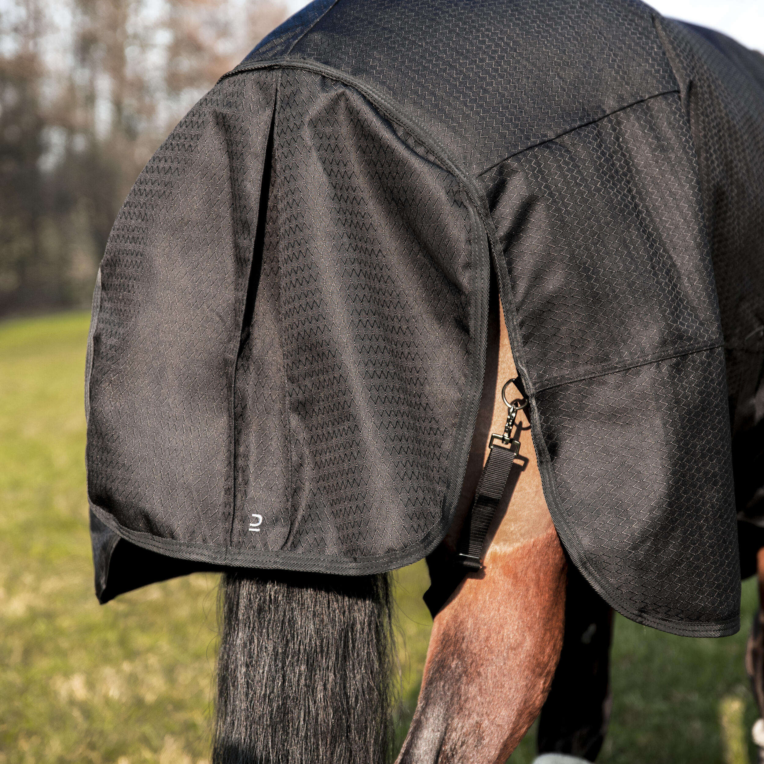 Test : Couverture imperméable Epplejeck - Cheval Magazine
