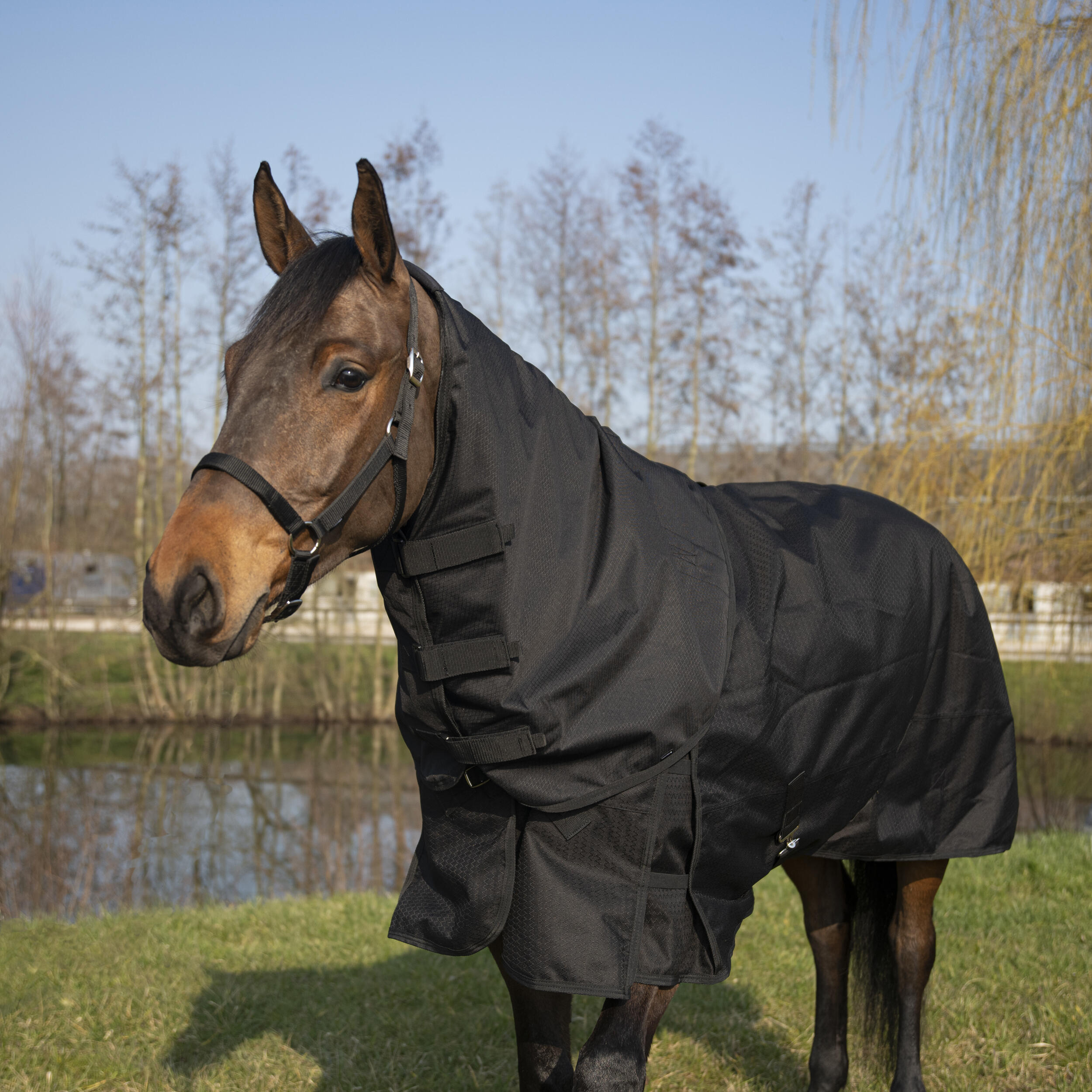 Horse Riding Waterproof Neck Cover Allweather Light - Black 2/7