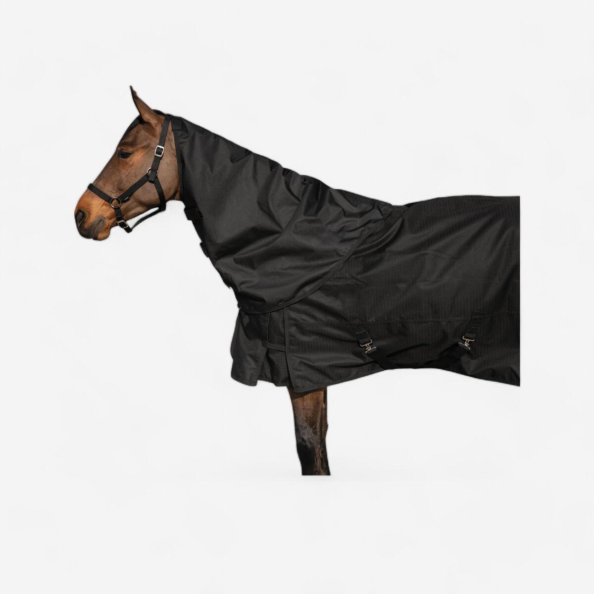 Couvre-cou équitation imperméable Cheval - Allweather light noir
