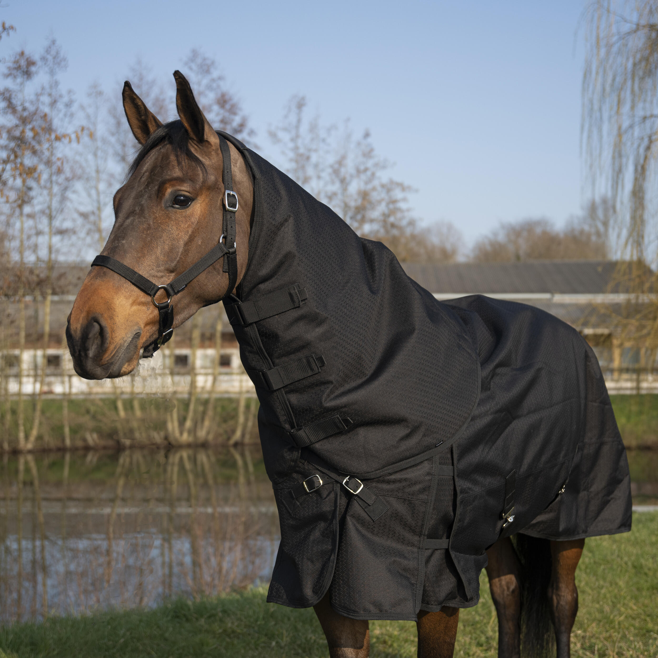 Couvre-cou équitation imperméable Cheval - Allweather 200 noir 2/7