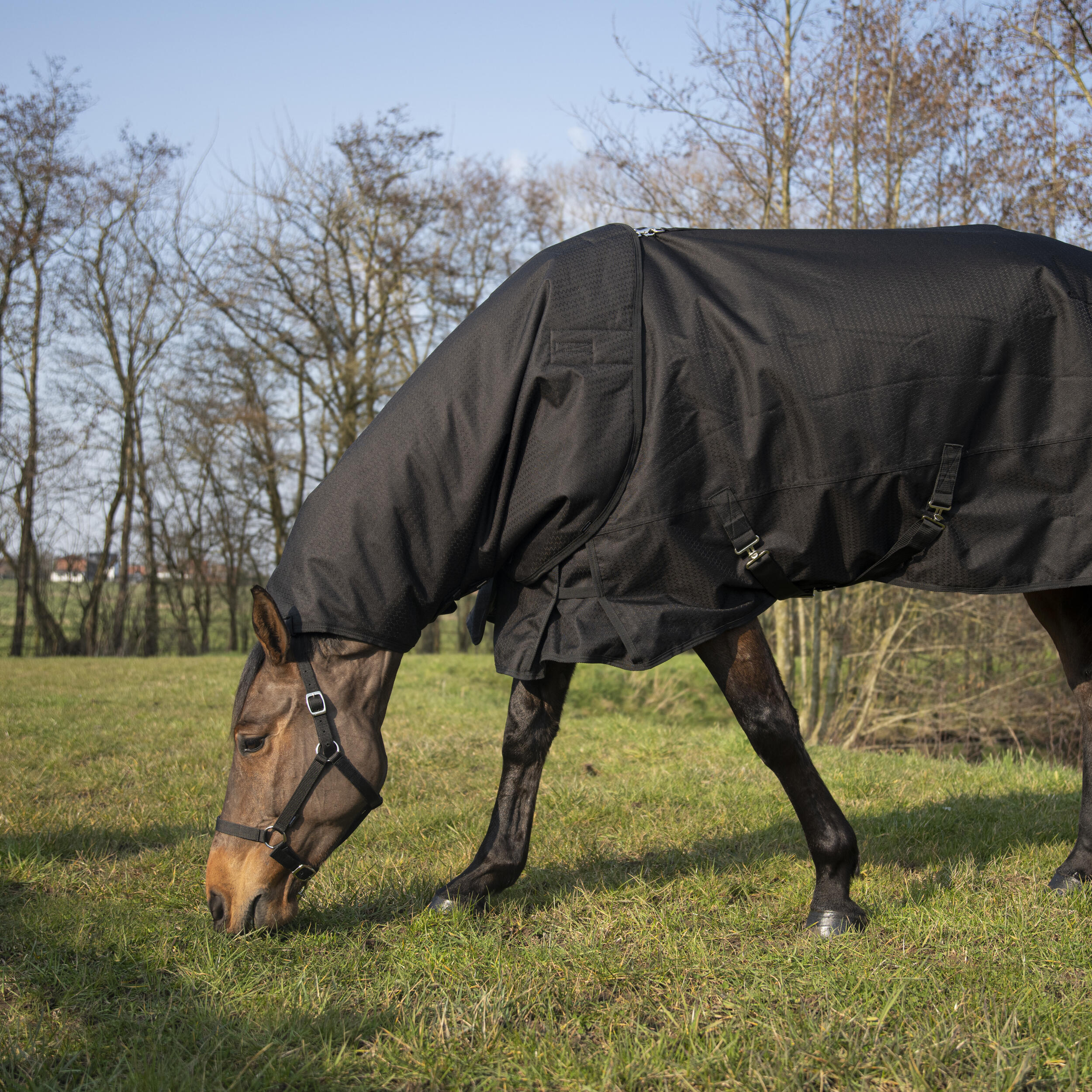 Couvre-cou équitation imperméable Cheval - Allweather 200 noir 3/7