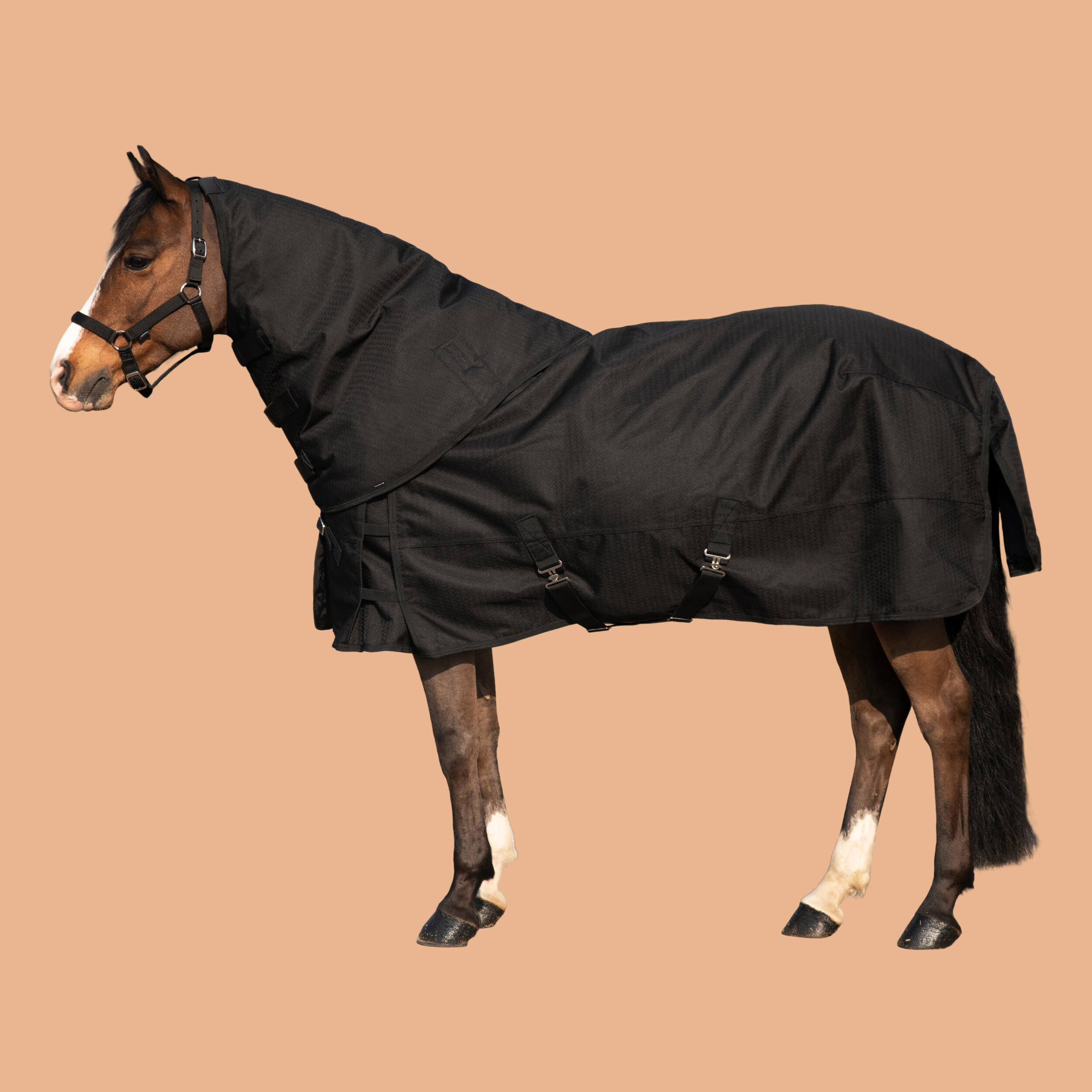 Horse Riding Waterproof Neck Cover for Horse Allweather 200 - Black 7/7