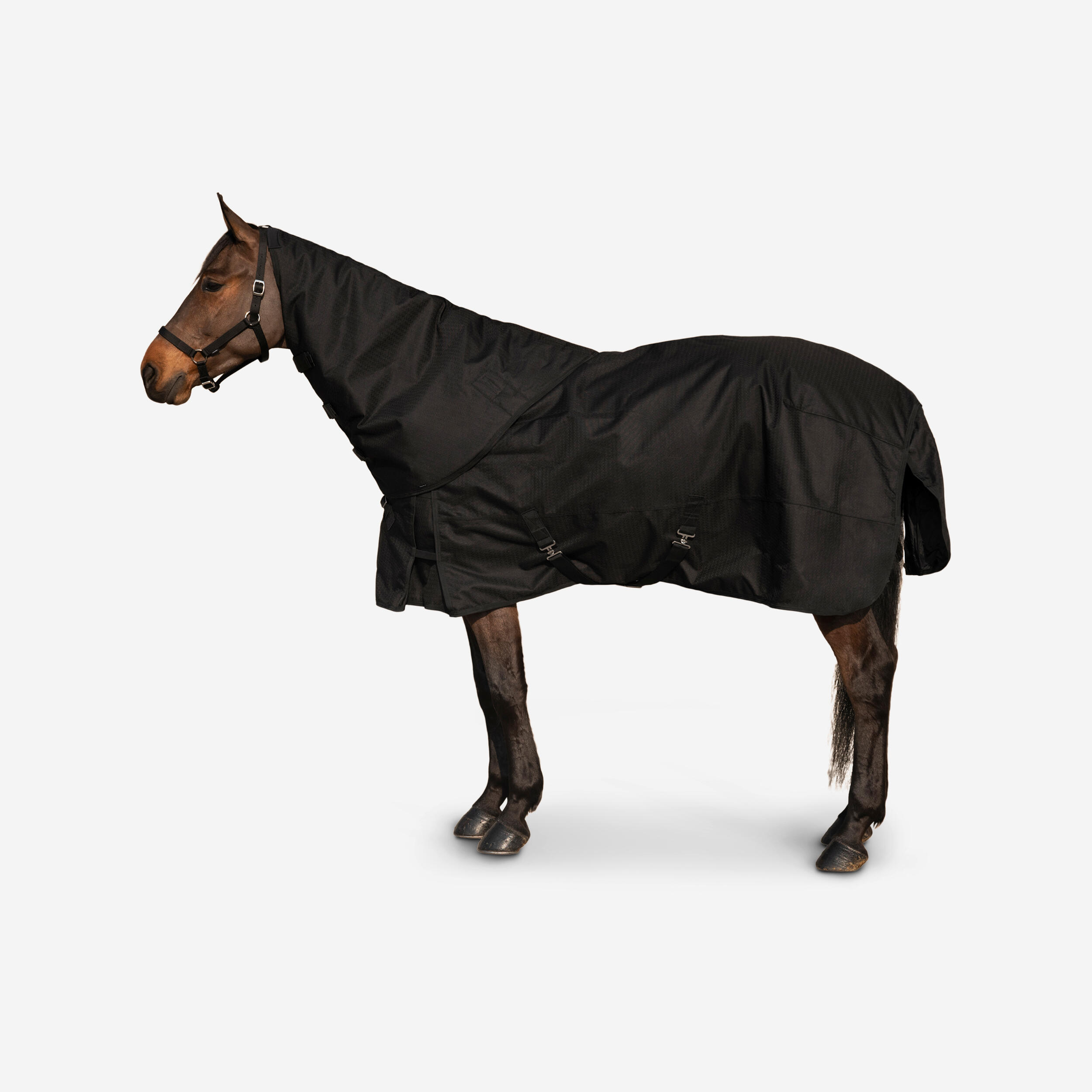 FOUGANZA Horse Riding Waterproof Neck Cover for Horse Allweather 200 - Black