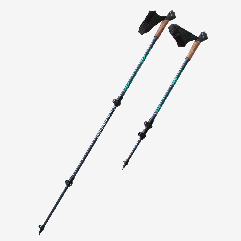 Terri KV+ telescopic Nordic walking poles