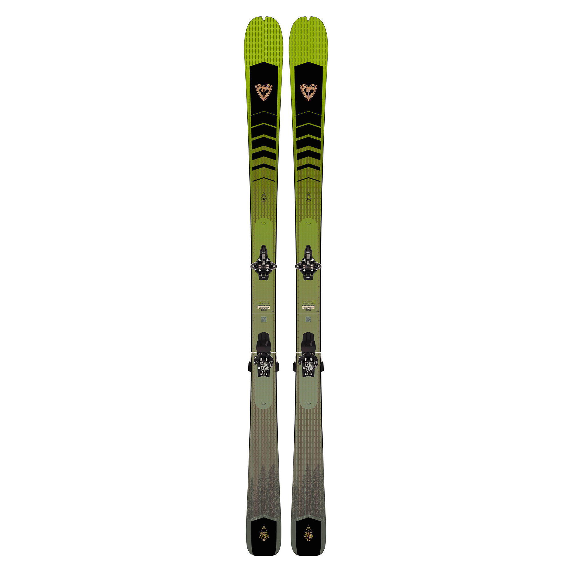 ROSSIGNOL picture