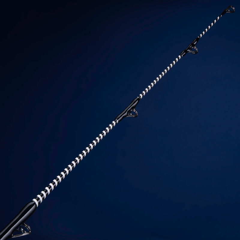 Surf Kamış - Balıkçılık - 435 cm 250 g - Symbios-900 Black Edition