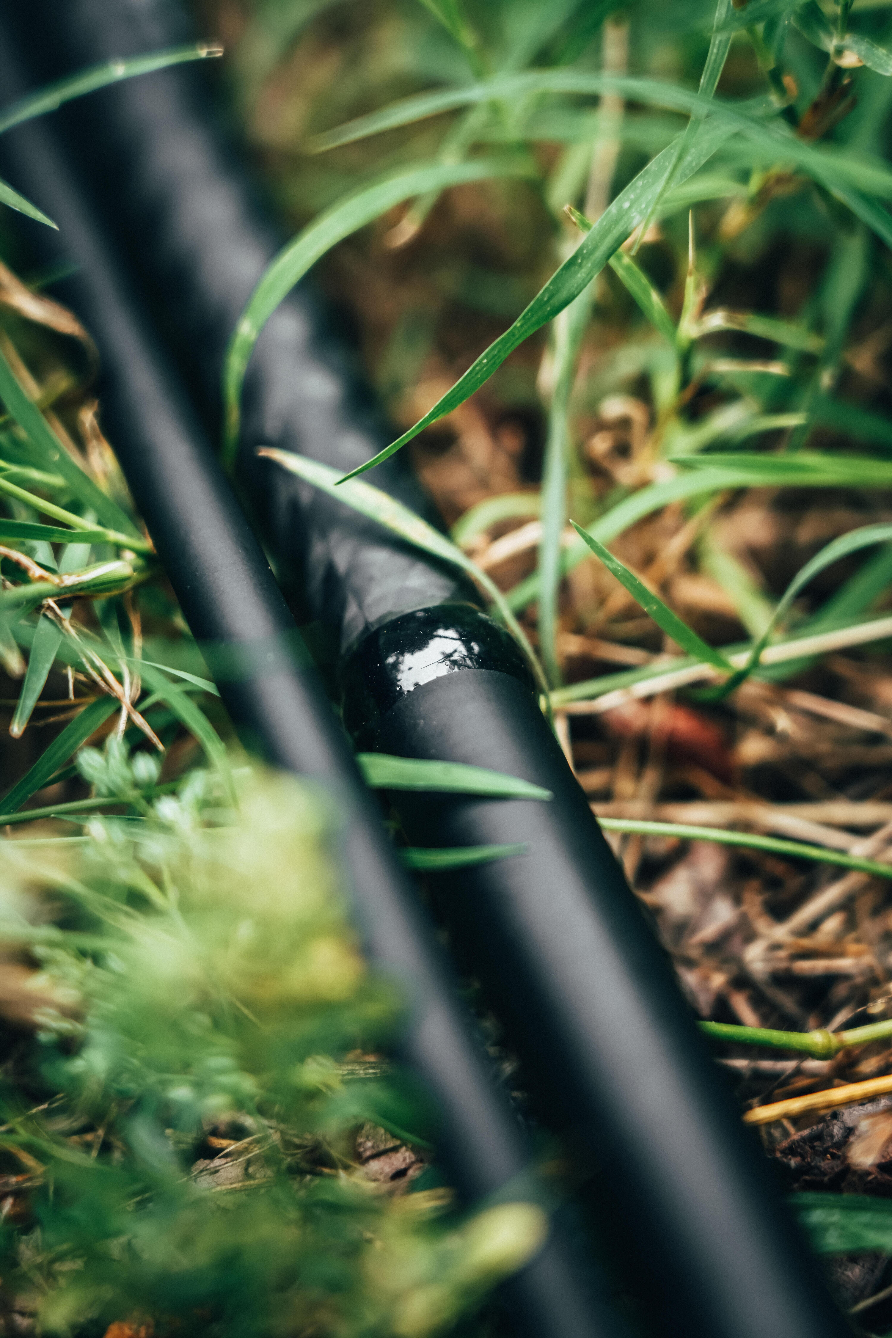 Second Hand - Canna carp fishing XTREM 900 POWER 13' 3,75lb 9/15