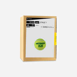 Tennis Ball TB120 x 60 - Green Dot