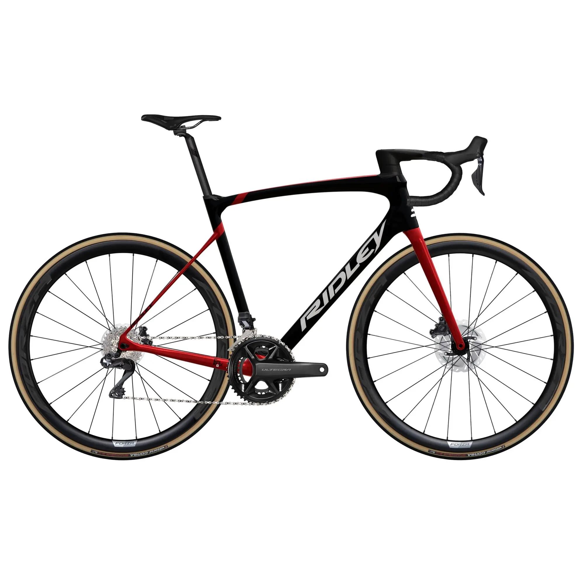 RIDLEY picture