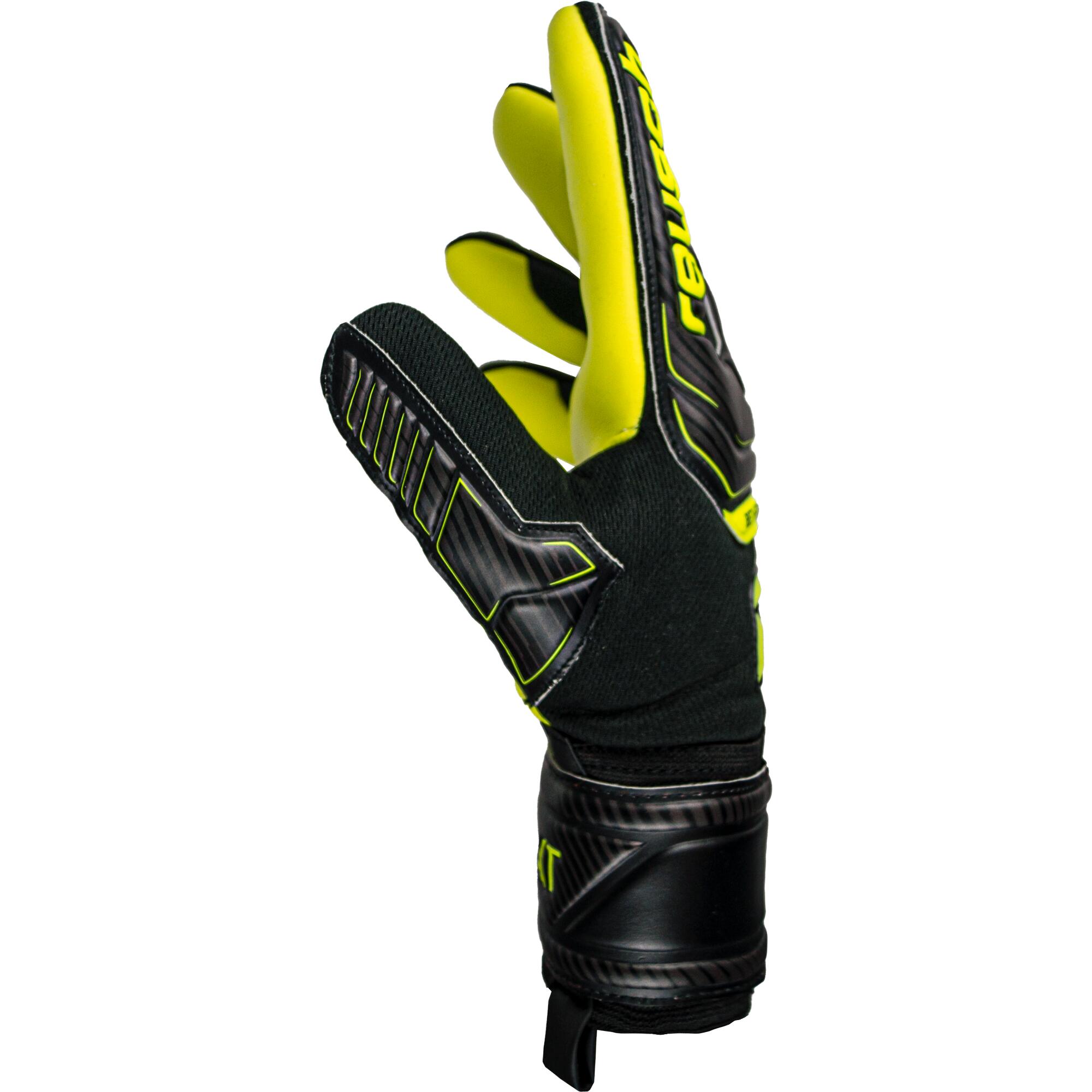 Adult Goalkeeper Glove Attrakt Evolution 3/11