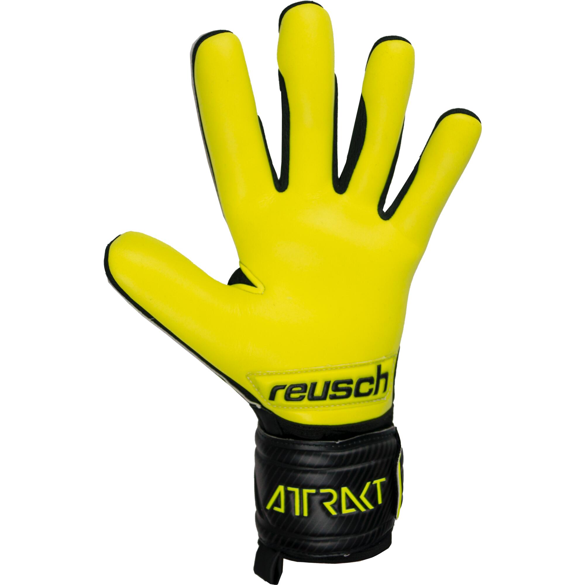 Adult Goalkeeper Glove Attrakt Evolution 2/11