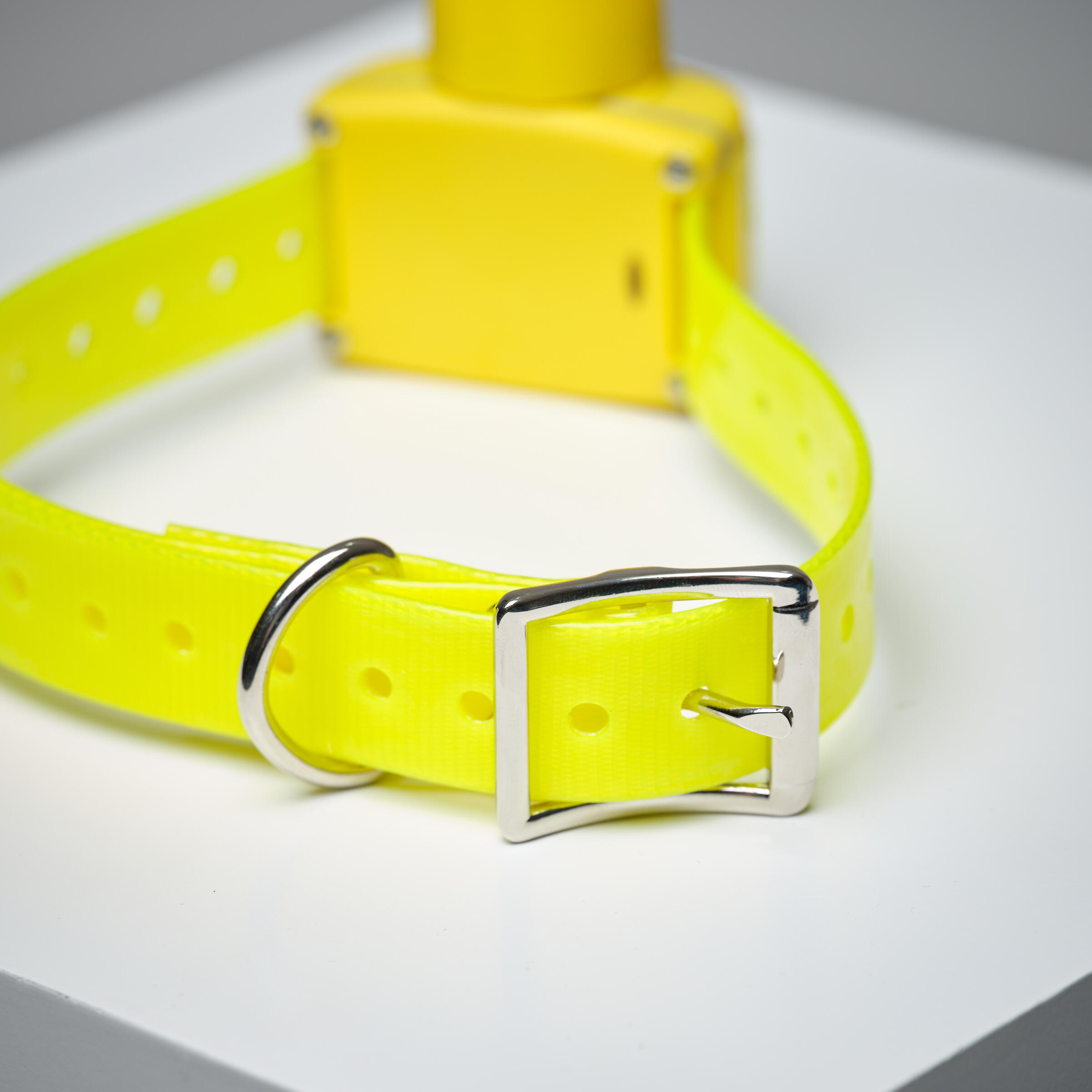 Lokalisatiehalsband voor jachthond Canibeep Radio Pro 4/12