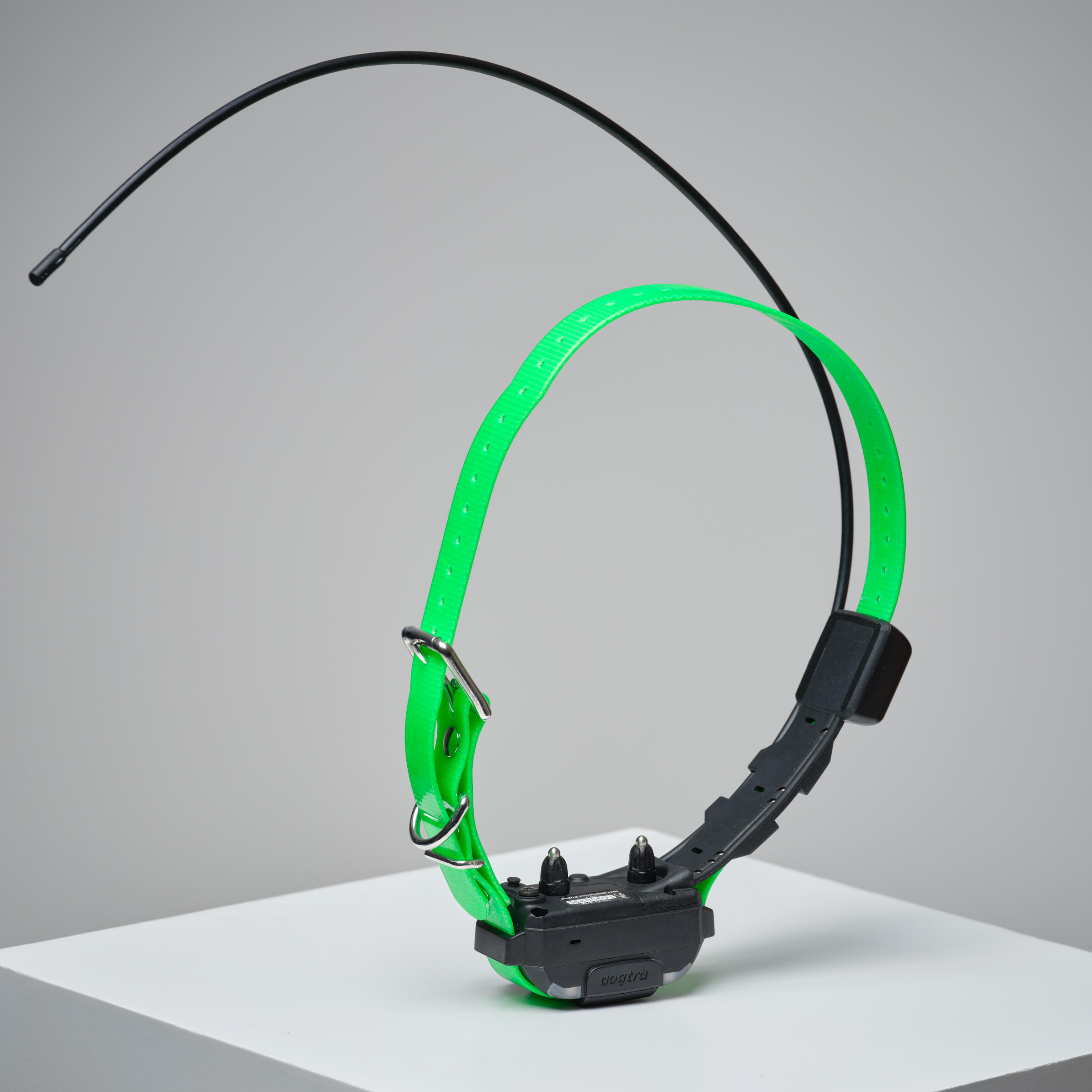 Dogtra clearance pathfinder decathlon