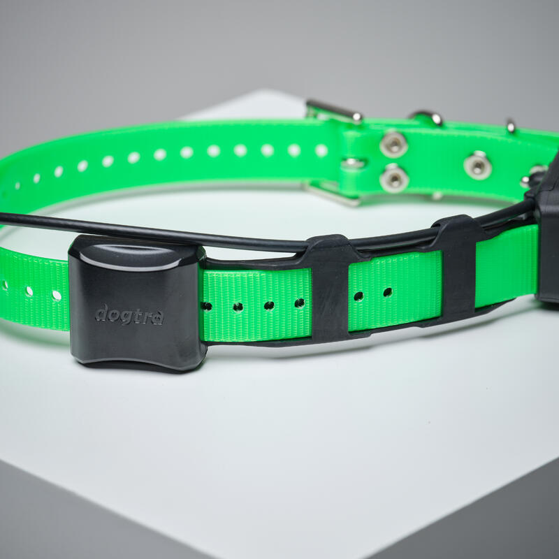 Collier supplémentaire repérage et dressage pour chien Dogtra Pathfinder