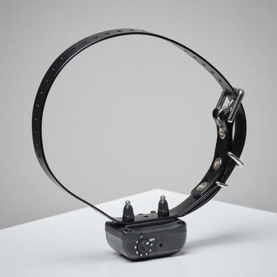 Obroża treningowa Dogtra YS 300