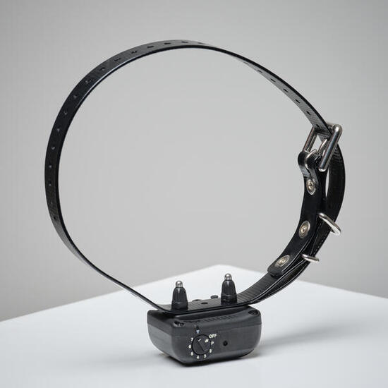 Obroża treningowa Dogtra YS 300