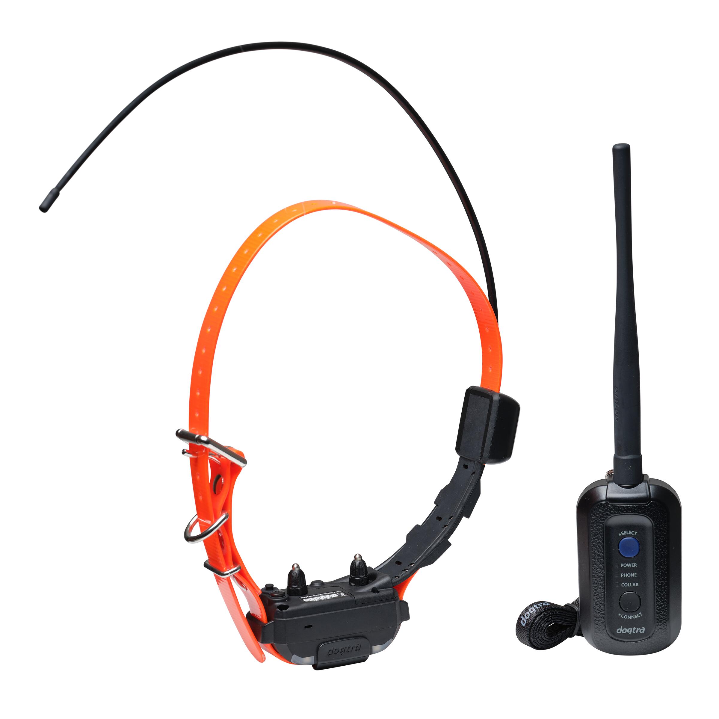 Collares localizacion gps