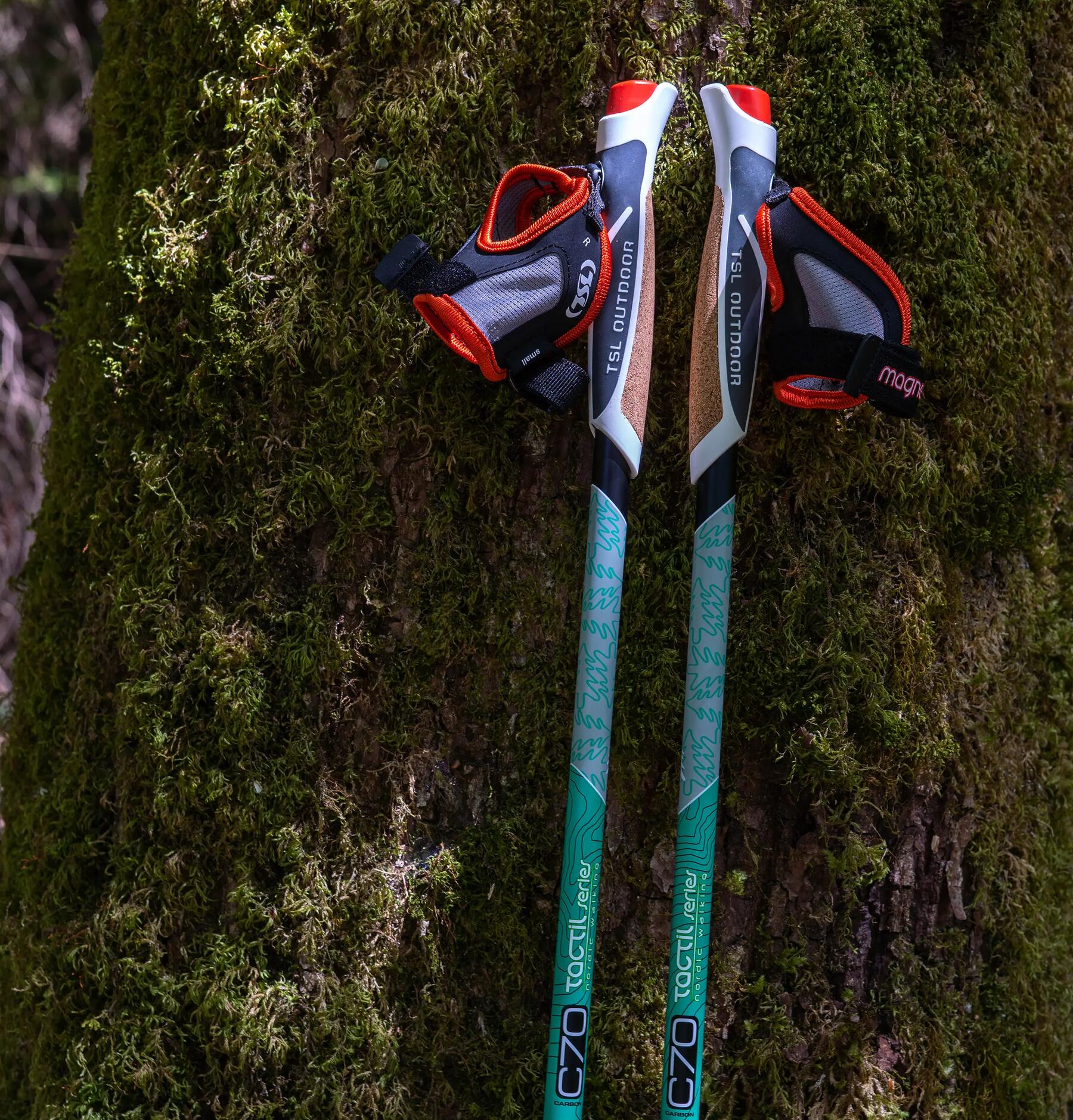 kije do nordic walking leżące na mchu