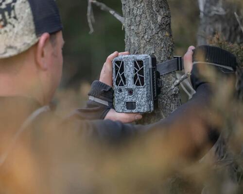 Comment choisir sa caméra de chasse ou piège photographique ?