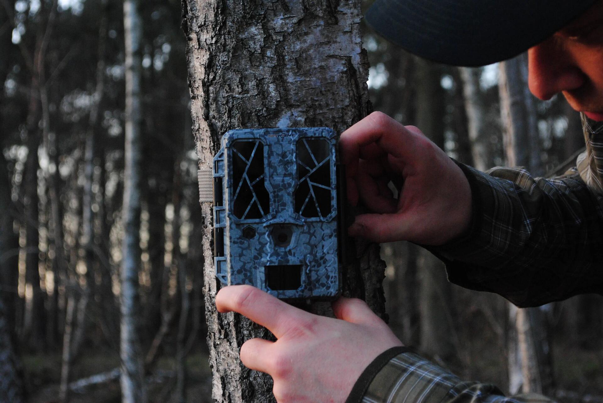 Réglage d'une caméra de chasse sur le territoire du chasseur