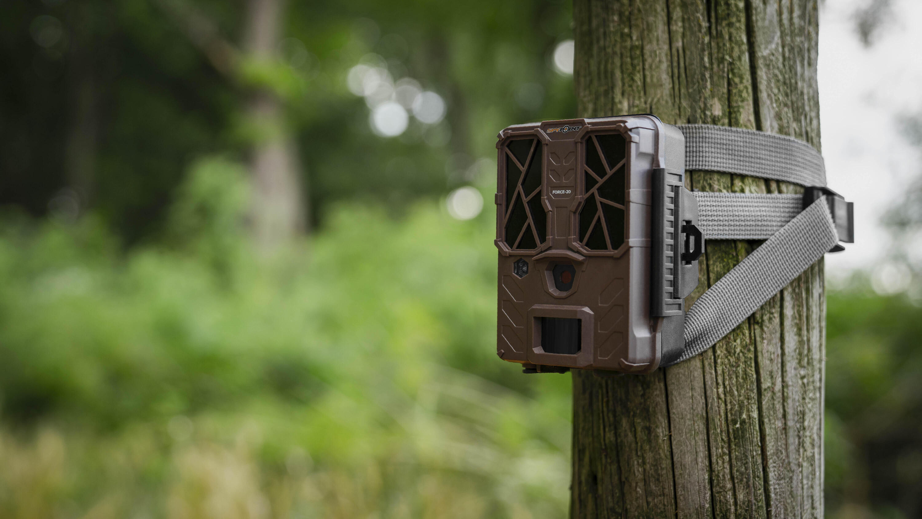 Caméras de chasse sur un poteau en bois