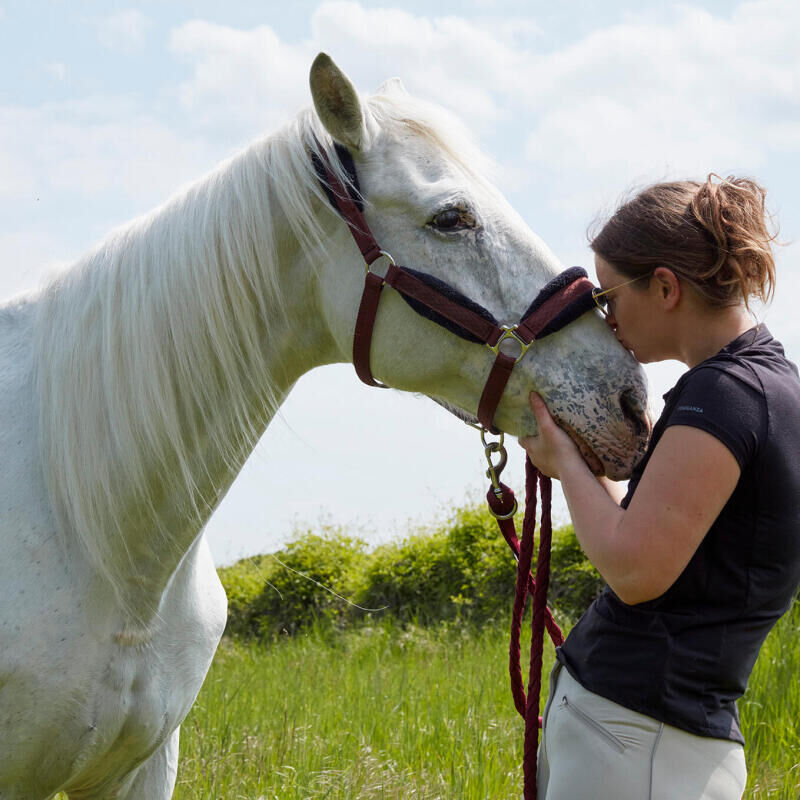 Portait duo d'une cavalière et son cheval