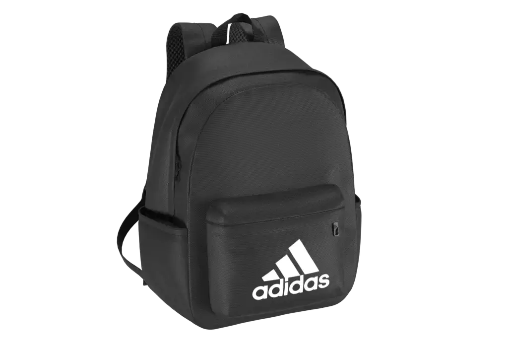 Our 9 Best Backpacks For School