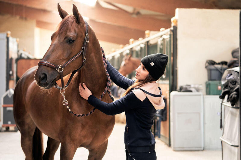 Come scegliere la capezza per il cavallo
