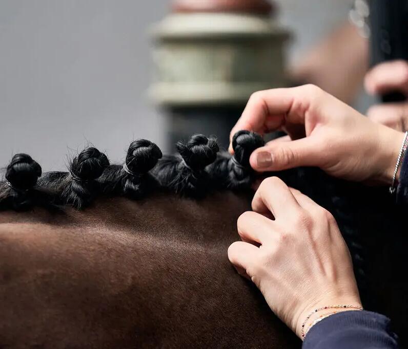 Deze paarden cadeaus zijn geschikt voor ruiters van elk niveau