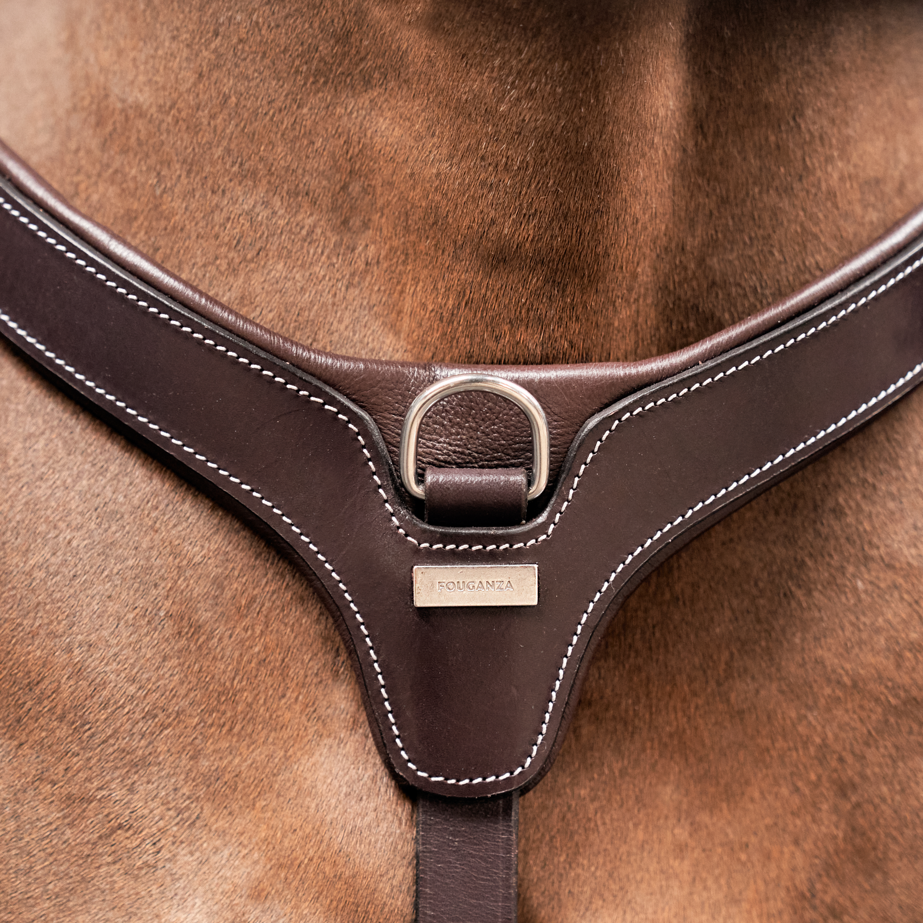 Comment choisir un filet pour cheval ?