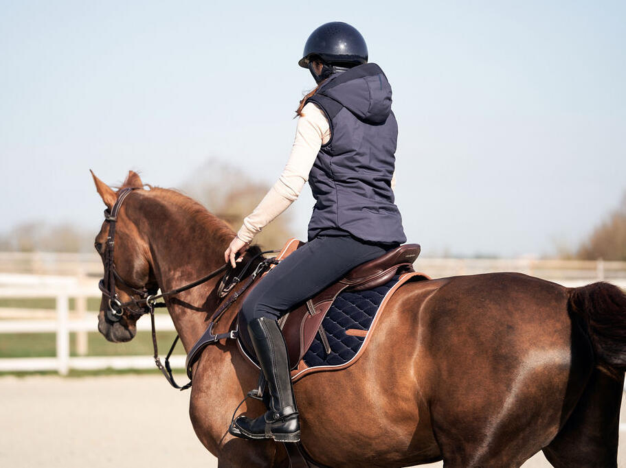 L'équipement d'équitation pour l'hiver : ne rien oublier - HorseLab