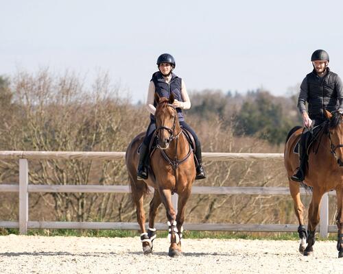 Les enrênements en équitation