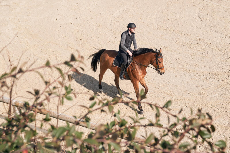 Remettre son cheval en conditions