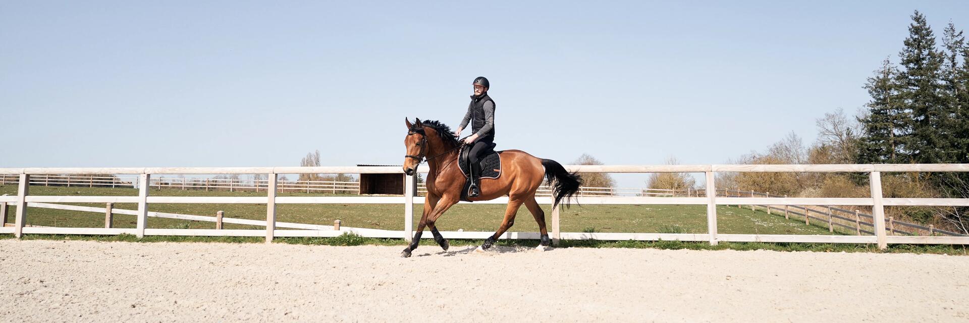 Faire une bonne detente a cheval