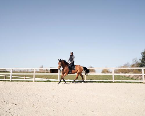 Faire une bonne detente a cheval
