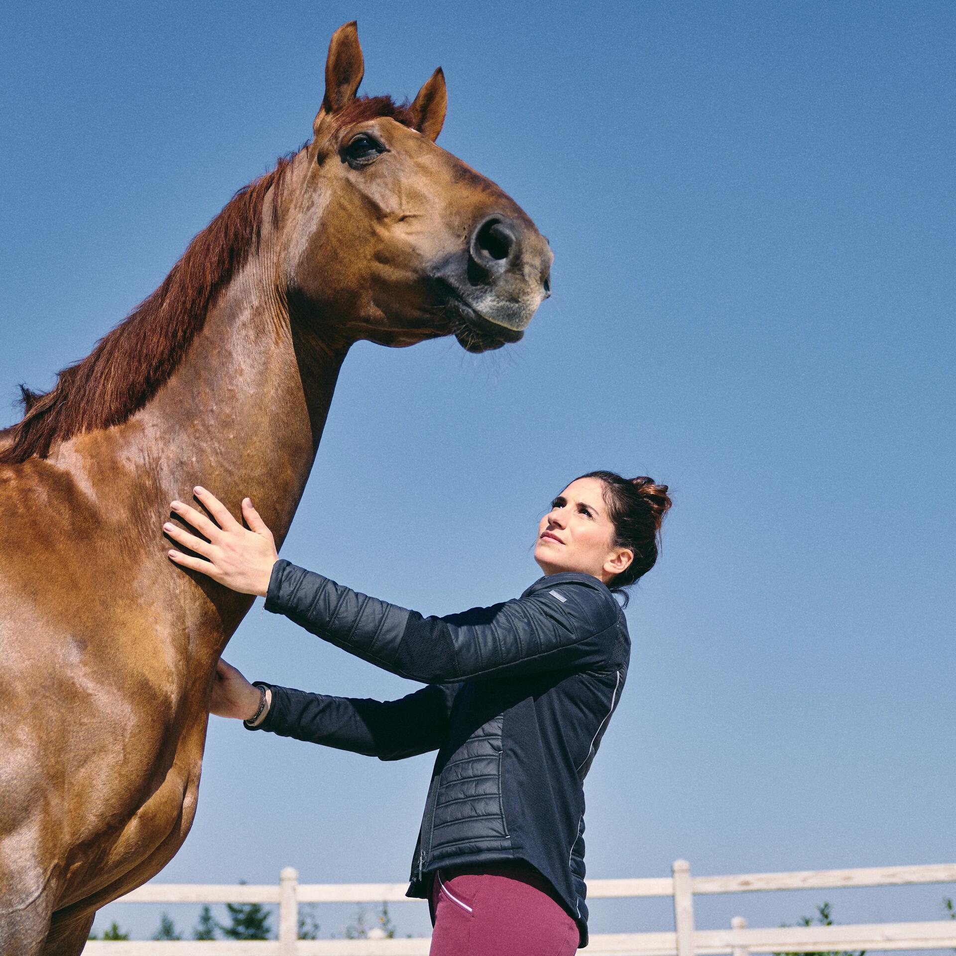 Deze paarden cadeaus zijn geschikt voor ruiters van elk niveau