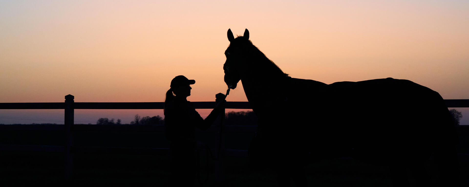 Balade à cheval : Les conseils essentiels