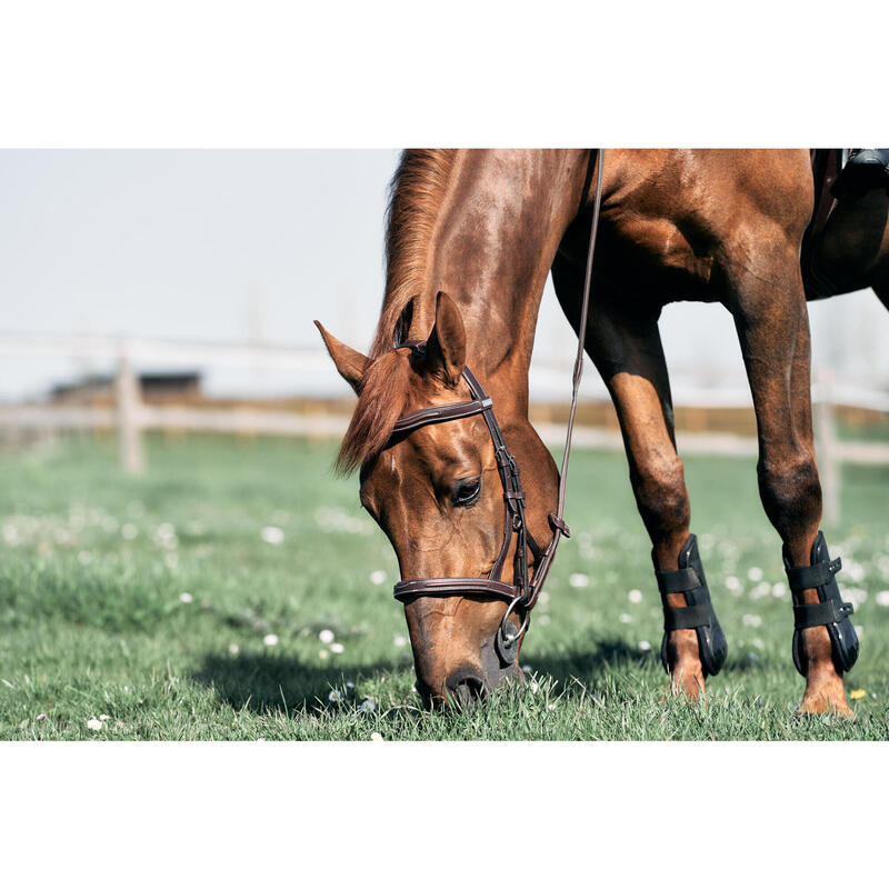 Filet équitation cuir muserolle française Cheval et Poney - 900 marron foncé