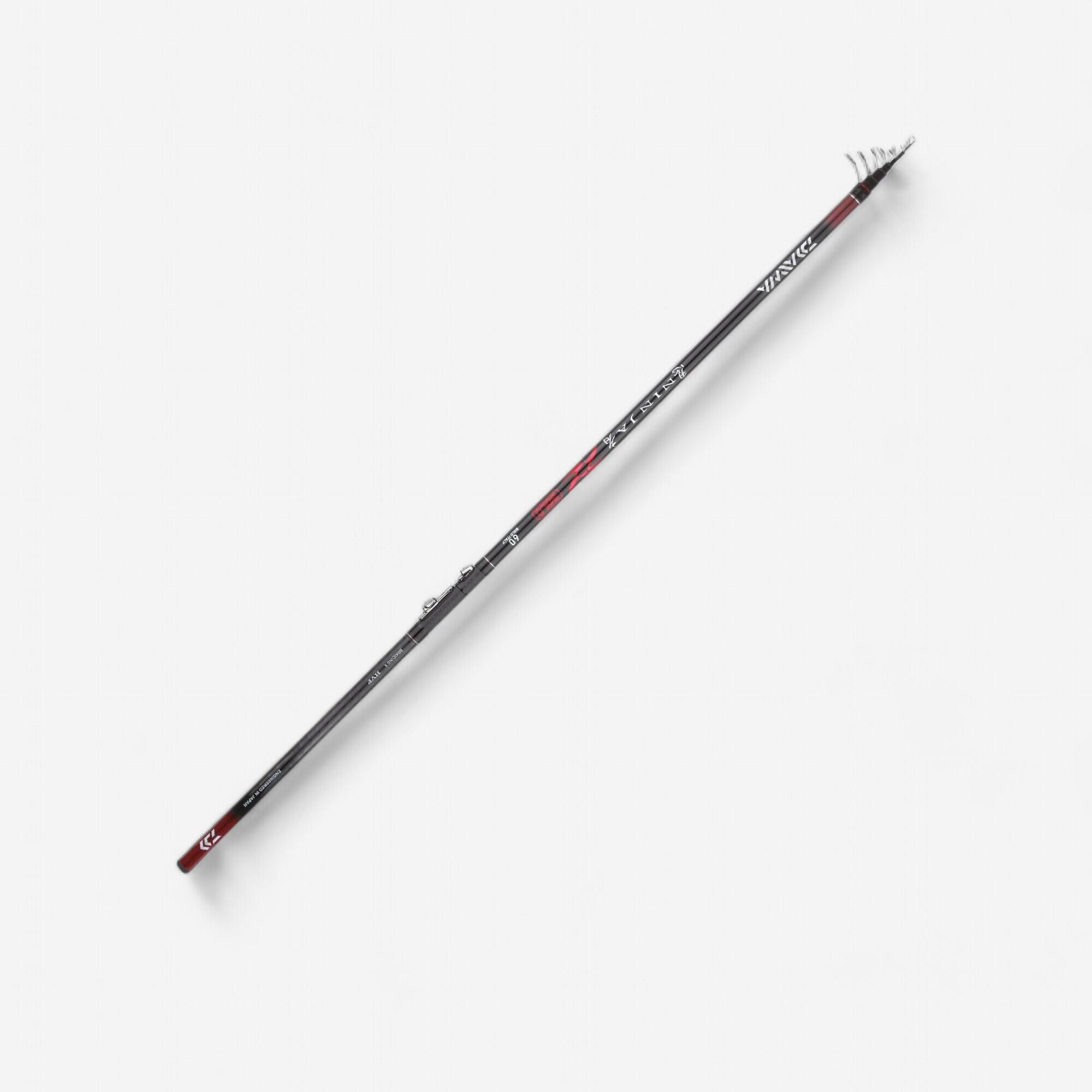 DAIWA Canna bolognese Daiwa Ninja Bolo 60 6m