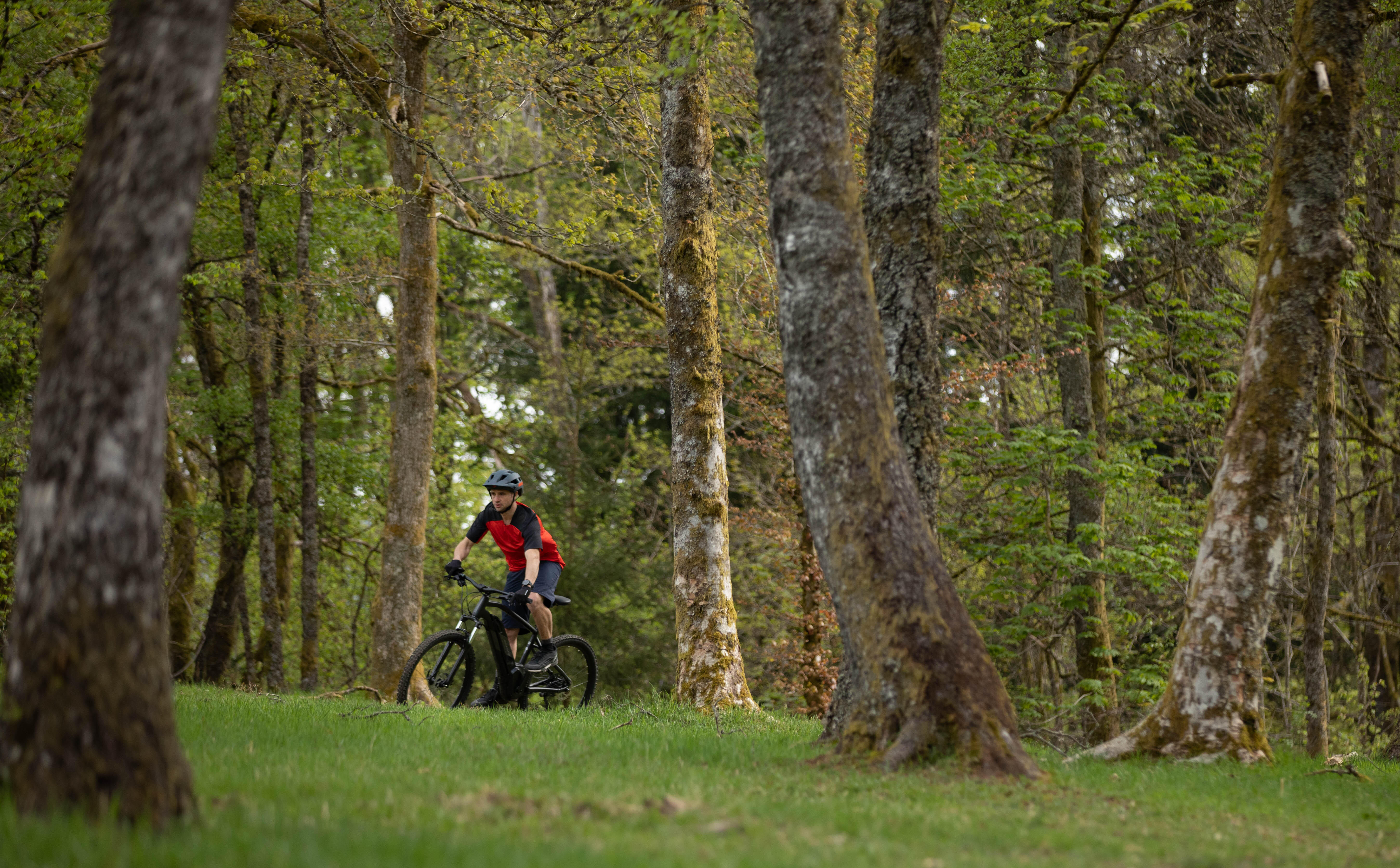 Chaussures de vélo ST 500 - ROCKRIDER