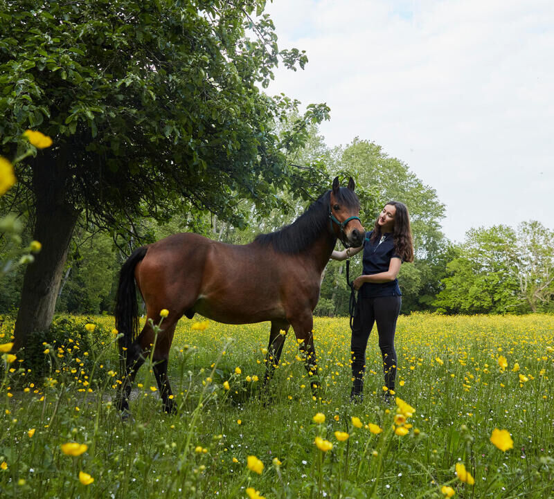 Portait duo d'une cavalière et son cheval