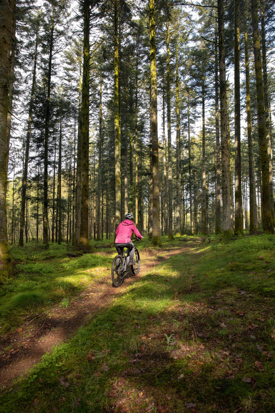 VTT STILUS E-AM 27,5+" V2