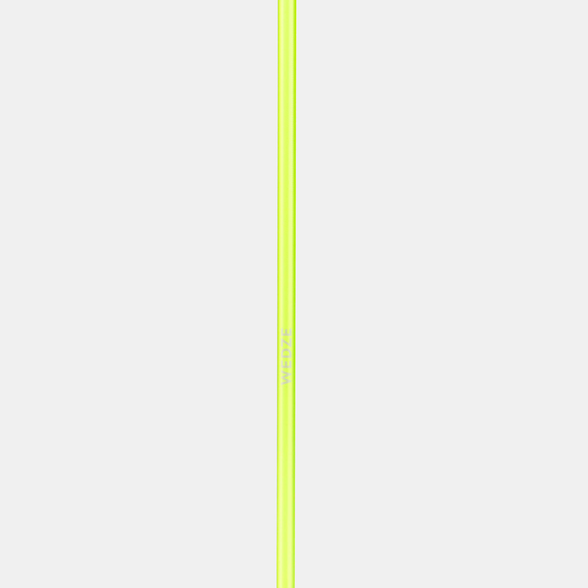Downhill Ski Poles – Boost 500 Safety - WEDZE