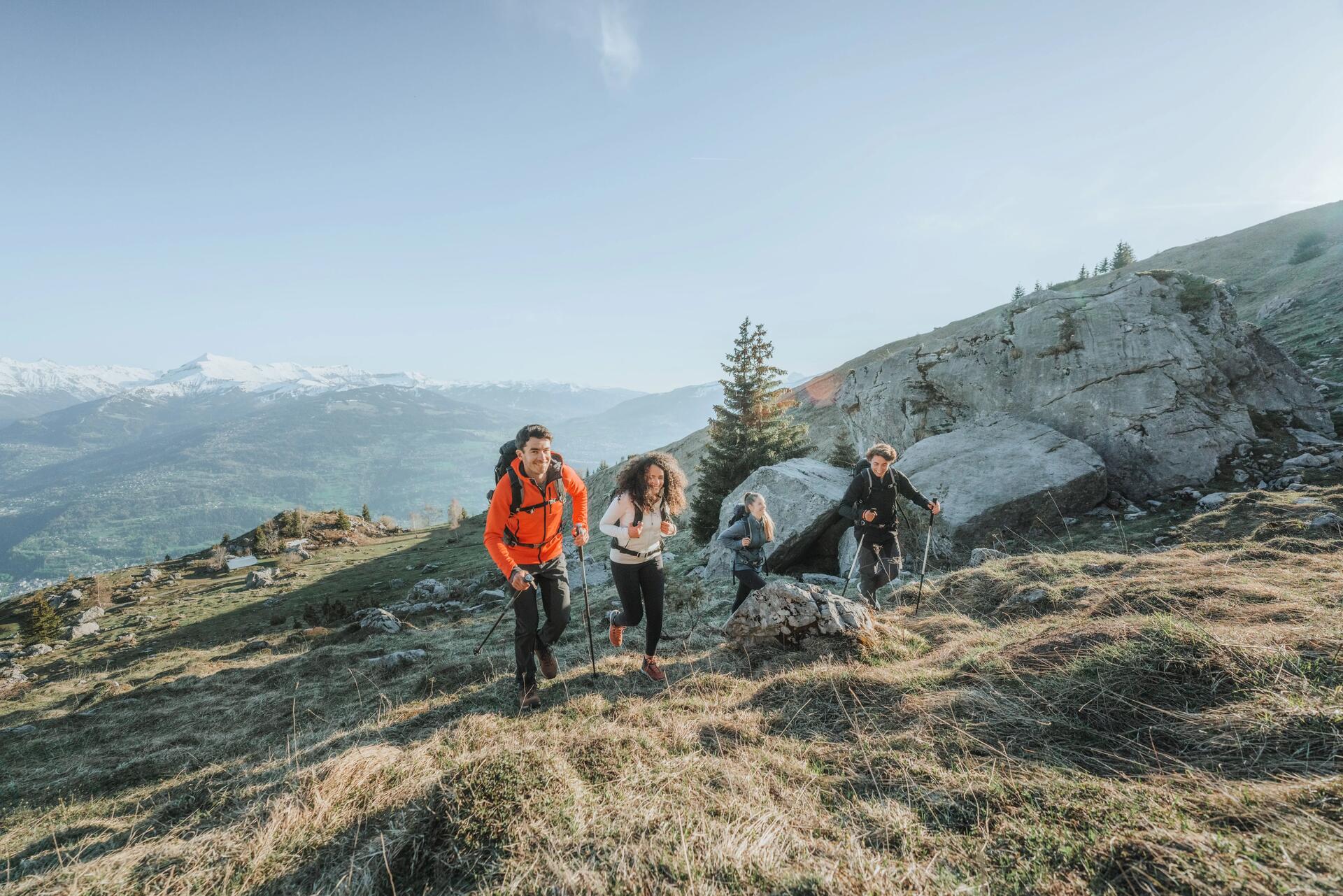 Fleece jas voor wandelen - MH520 - dames